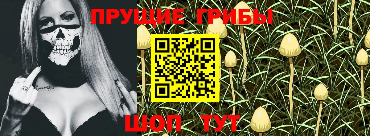 Сафоново  даркнет сайт  Вход с VPN  Псилоцибиновые грибы MAGIC MUSHROOMS 